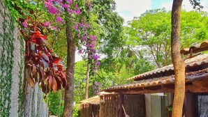 A pathway leading to a rustic building with a thatched roof and hammocks. - Morada dos Saguis Chalés (Alto Paraíso de Goiás)