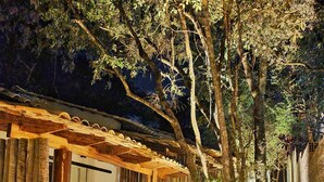 A rustic outdoor area with a wooden pergola, a seating area with a chair, and a pathway leading to a building. - Morada dos Saguis Chalés (Alto Paraíso de Goiás)