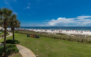 A beach with rows of beach chairs and umbrellas, a clear sky, and a view of the ocean.
