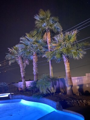 Escena nocturna con palmeras y una piscina.