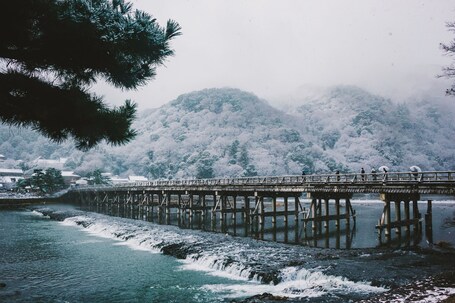 THE BLOSSOM KYOTO - Image 15