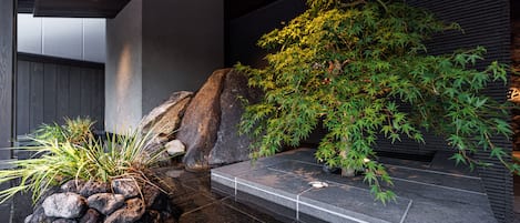 A modern indoor garden with a stone pathway, large rocks, and a variety of plants including a prominent bamboo tree.