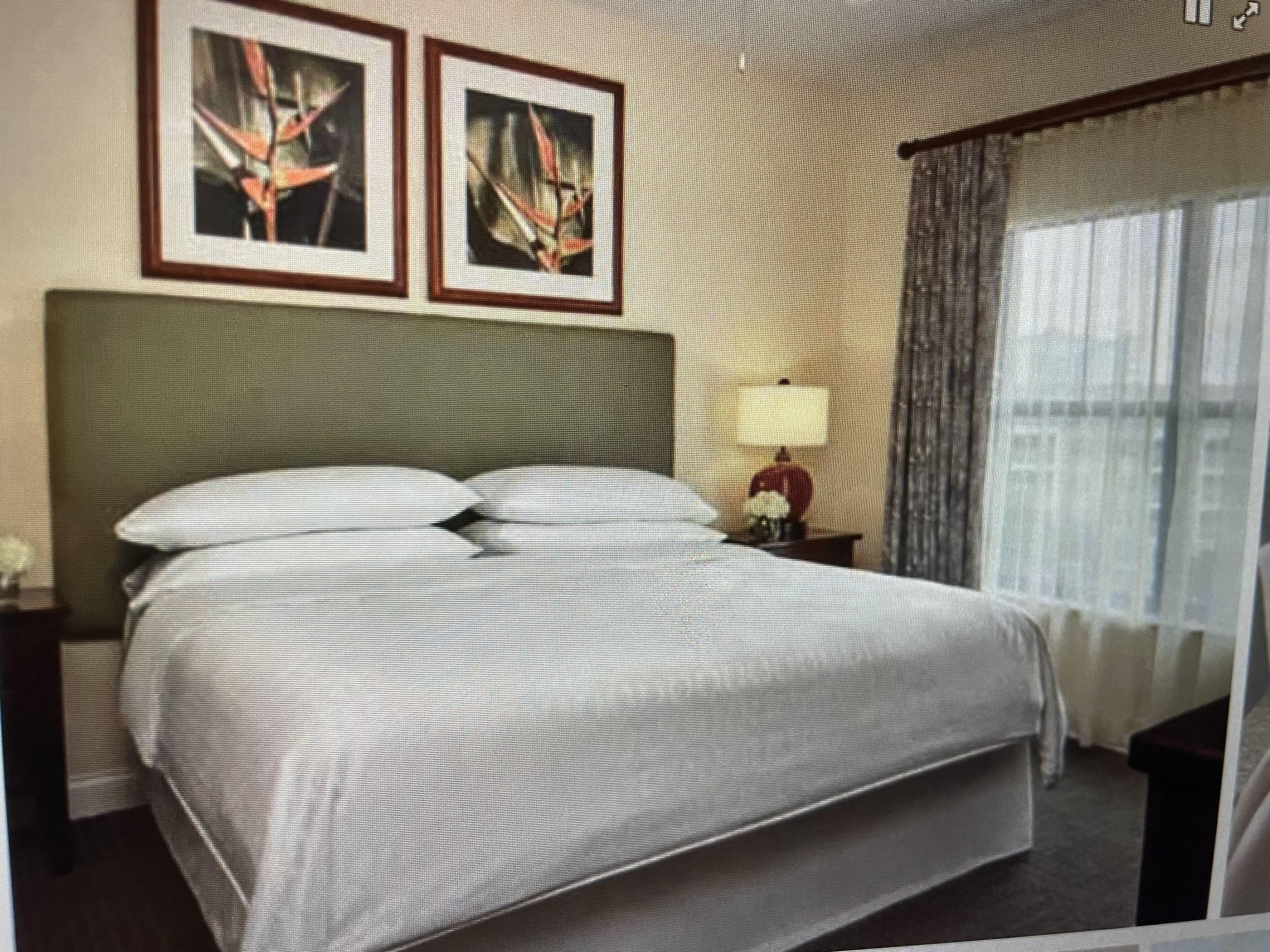 Beautiful large1 bedroom villa 15 minutes to theme parks!