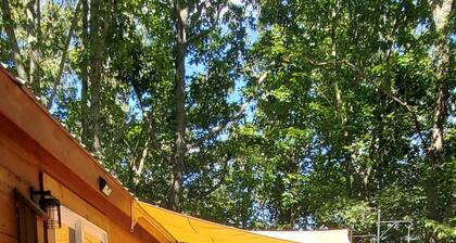 GUNSMOKE The not so "tiny" cabin with fenced back yard!