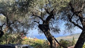 A rustic outdoor seating area with a table and benches, surrounded by olive trees and a view of the sea.
