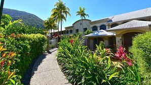 Un resort con un sendero pavimentado, exuberante vegetación tropical, palmeras y un edificio con techo curvo y ventanas arqueadas.
