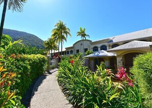 Property grounds - Spacious 1 Bedroom Mango Resort Apartment Palm Cove (Cairns)
