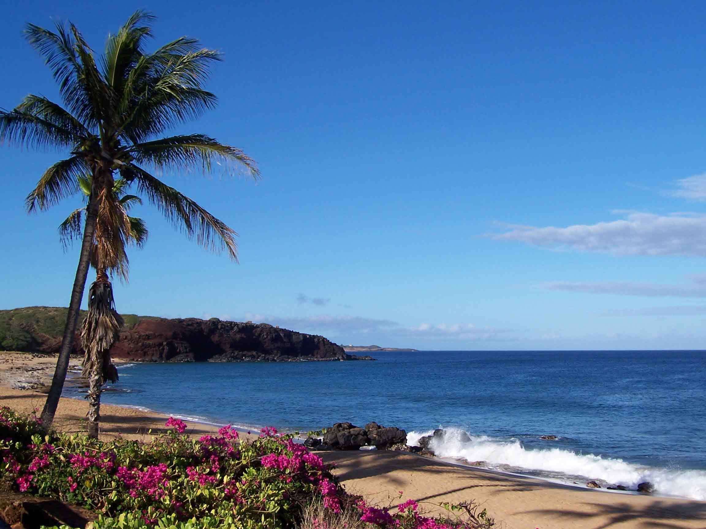 Nær stranden, solsenger og strandhåndklær