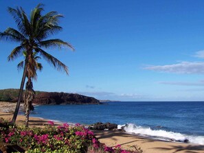 Una playa con una palmera y flores rosadas, un litoral rocoso y cielo azul claro.