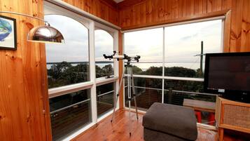 Smart TV, fireplace, video games, stereo