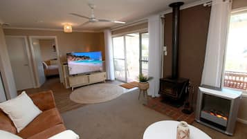 Smart TV, fireplace, books, stereo