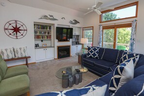 Télévision, lecteur de DVD, livres, vidéothèque