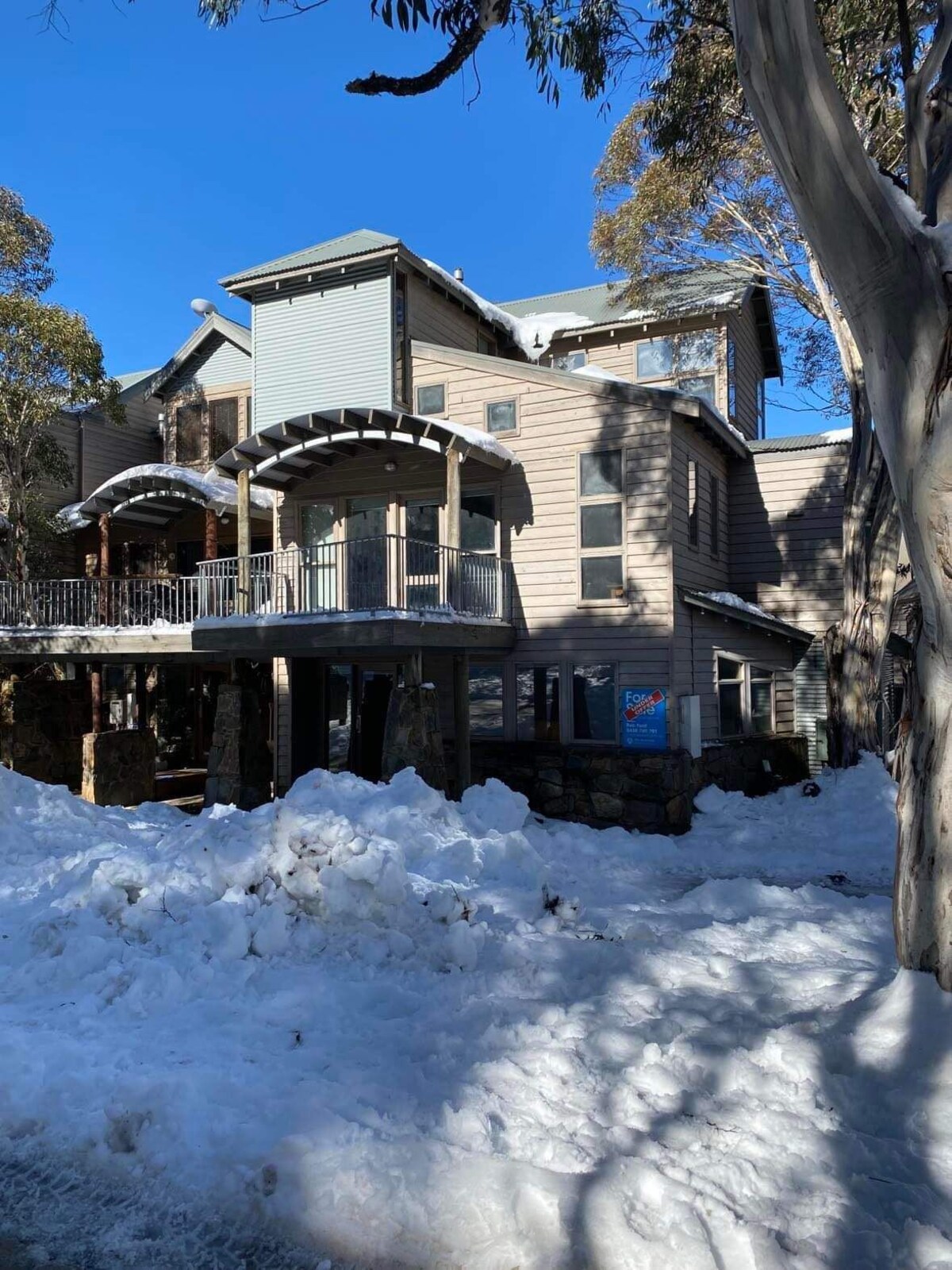 オーナーのプロフィール画像