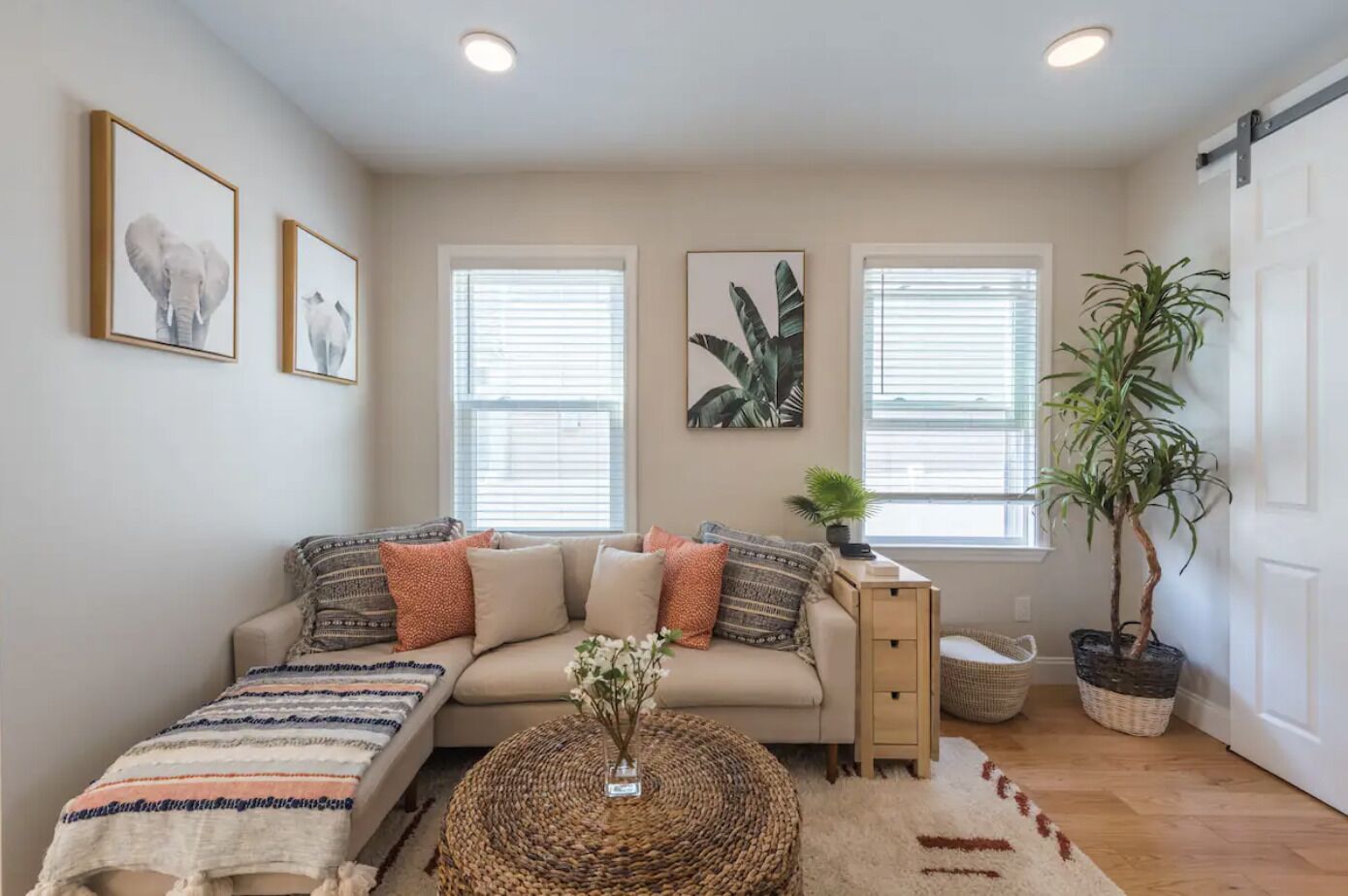 A cozy living room with a sofa, a coffee table, and a potted plant.