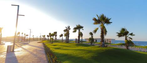 المنطقة المحيطة بالمنشأة