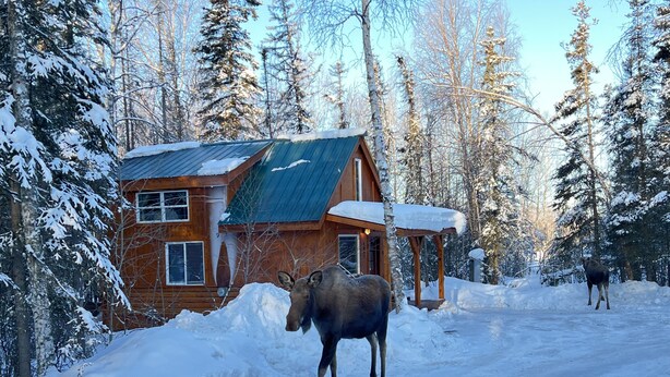 A log cabin with a metal roof and a porch, surrounded by snow-covered trees. - Moose Landing Cabin C87 with all the amenities (Wasilla)