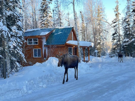 Exterior. Moose Landing Cabin C87 with all the amenities