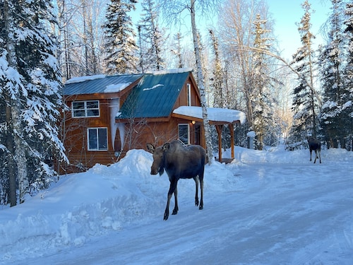 Moose Landing Cabin C87 with all the amenities