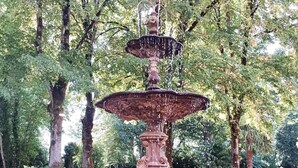 Une fontaine à plusieurs niveaux, située dans un jardin, avec des marches en briques et des plantes en pot.