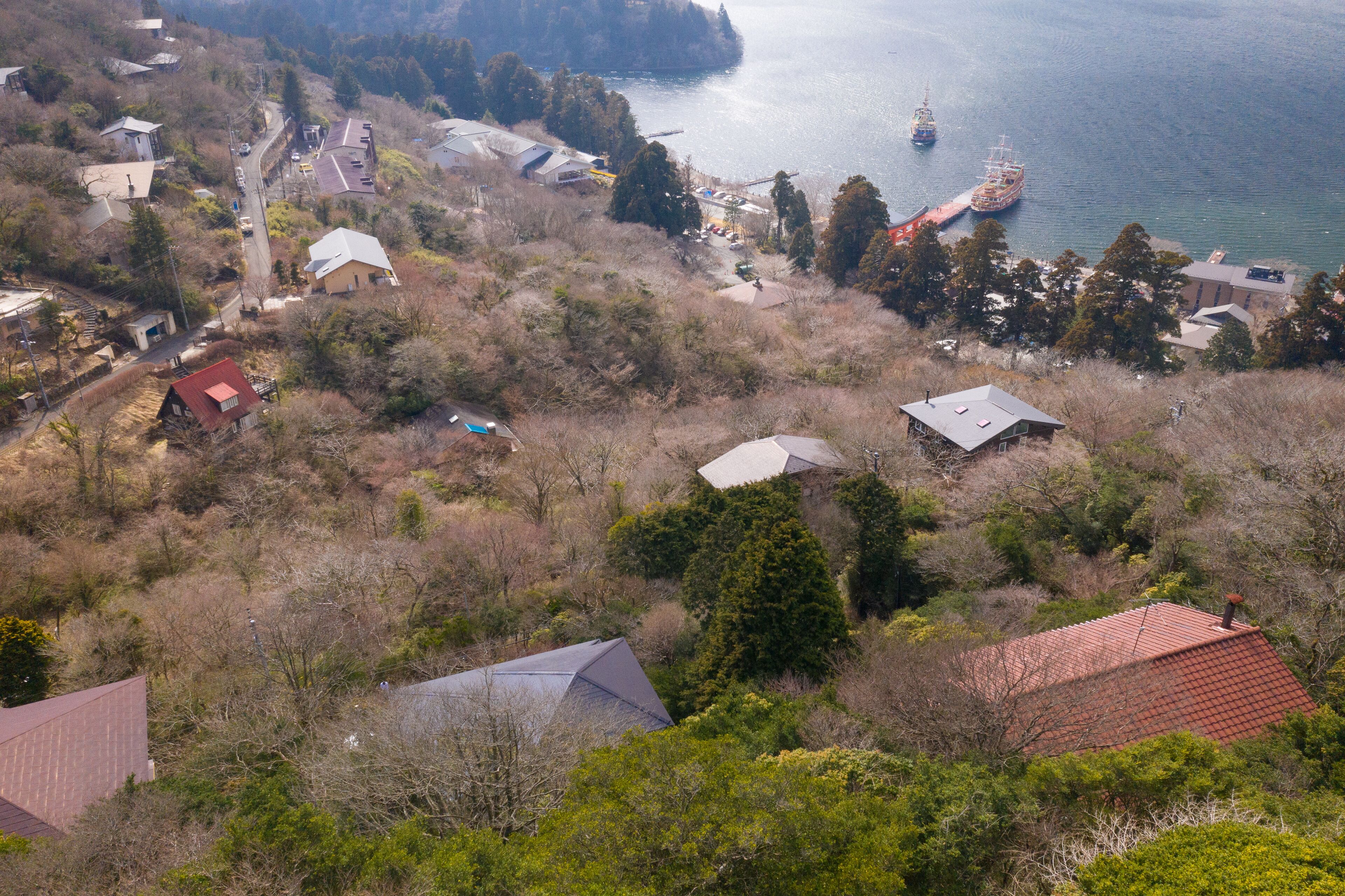 A coastal village with houses, a dock, and a ship.
