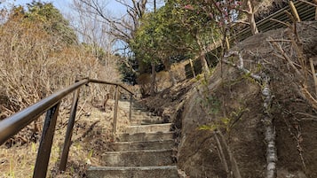 外觀