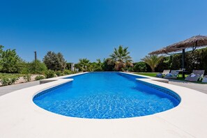 Une piscine d’un bleu éclatant, à bords incurvés, entourée de chaises longues et de palmiers.