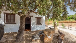 A rustic building with a large tree in front, a stone bench, and a rustic fence in the background. - Holiday Home 'Rural El Ventorrillo' with Pool & Wi-Fi (Morón de la Frontera)