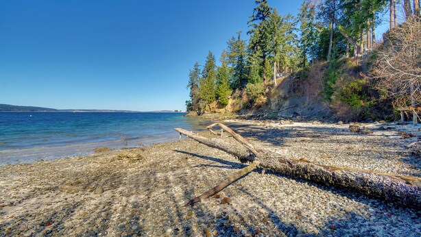 A rocky shoreline with clear water and trees in the background. - Waterfront PNW Escape w/ Deck & Beach Access! (Port Hadlock-Irondale)