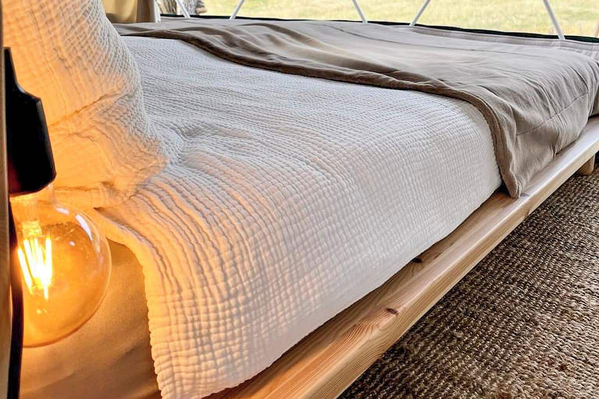 Un dormitorio acogedor con cama, lámpara y vista a un bosque a través de una ventana.