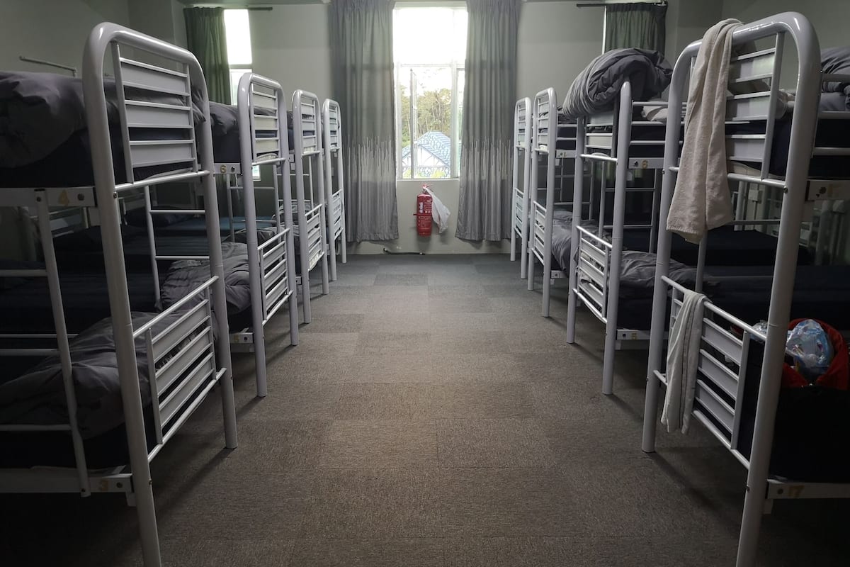 Shared Dormitory, Mixed Dorm | Meja, cadar katil