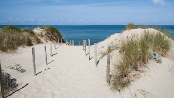 Plage à proximité, chaises longues