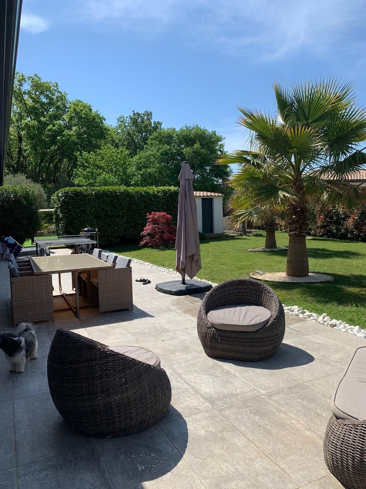 Un espace extérieur aménagé en terrasse, avec des meubles en osier, une table et un parasol.
