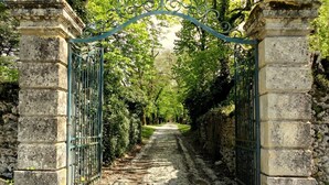 Un sentier qui traverse un portail en pierre orné de barreaux métalliques, entouré d’une végétation luxuriante et d’arbres.