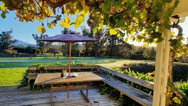 A wooden deck with a table and bench, surrounded by greenery and a pergola with a purple umbrella.