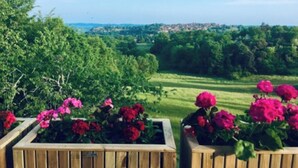 A view of a lush green landscape with a wooden deck and flower planters in the foreground. - Magnificent Villa on 50 ha overlooking the medieval town of Domme (Domme)