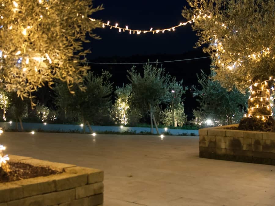 A nighttime outdoor area with trees and string lights.