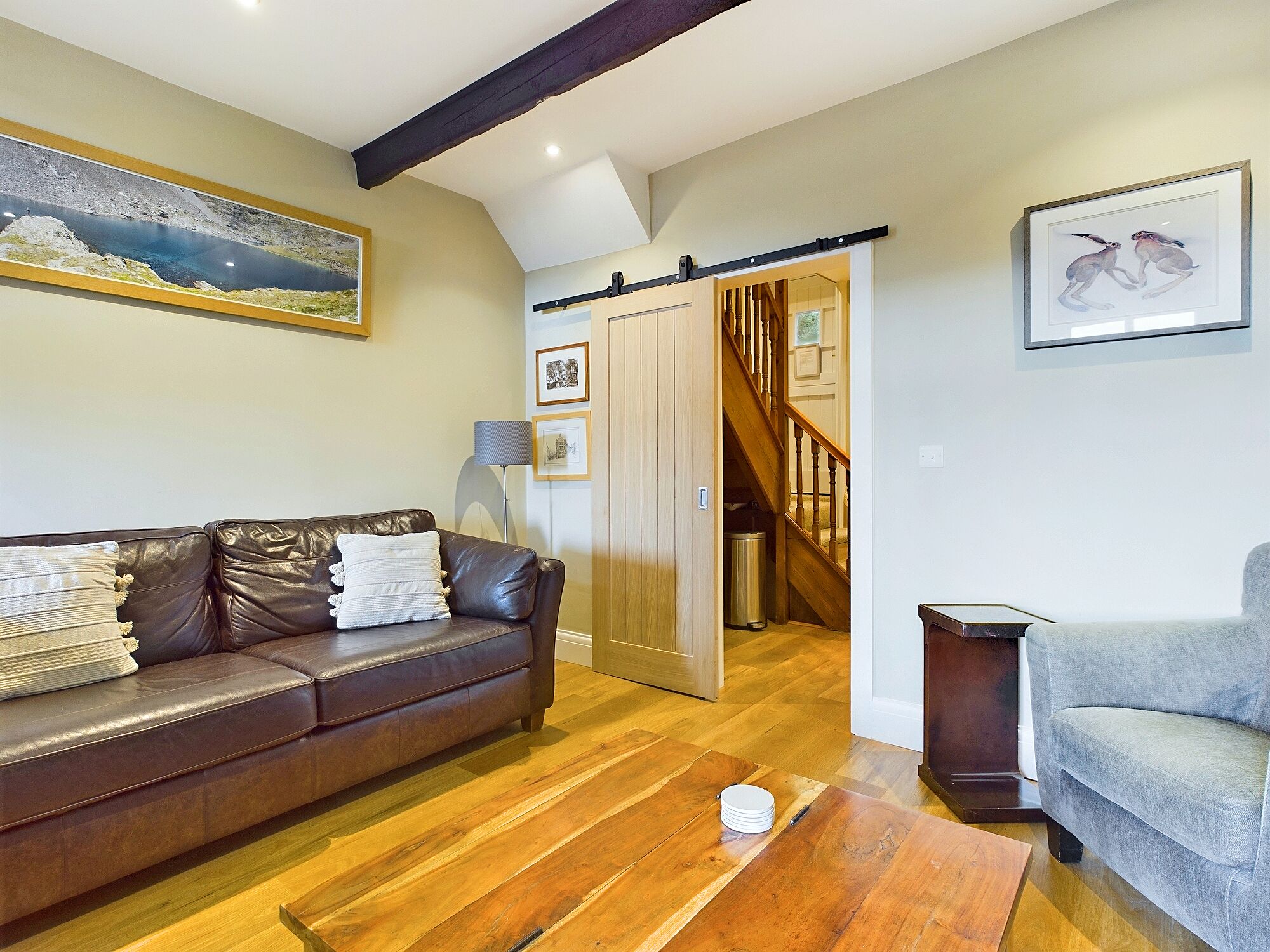 Smart TV, fireplace, DVD player, books