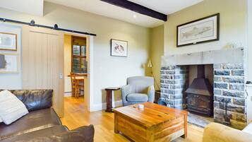 Smart TV, fireplace, DVD player, books