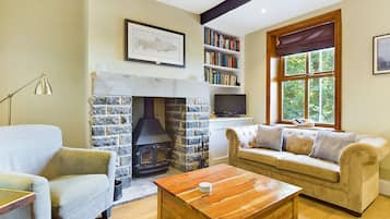 Smart TV, chimenea, reproductor de DVD y libros