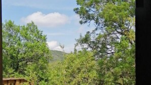 Vista a través de una ventana de una construcción de madera en un paisaje verde y exuberante, con árboles y cielo despejado.