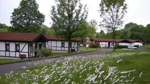 A row of traditional half-timbered houses with red roofs, surrounded by a field of white daisies. - Bungalow 23 for up to 4 people at the RHÖN RESIDENCE vacation complex. (Dipperz)