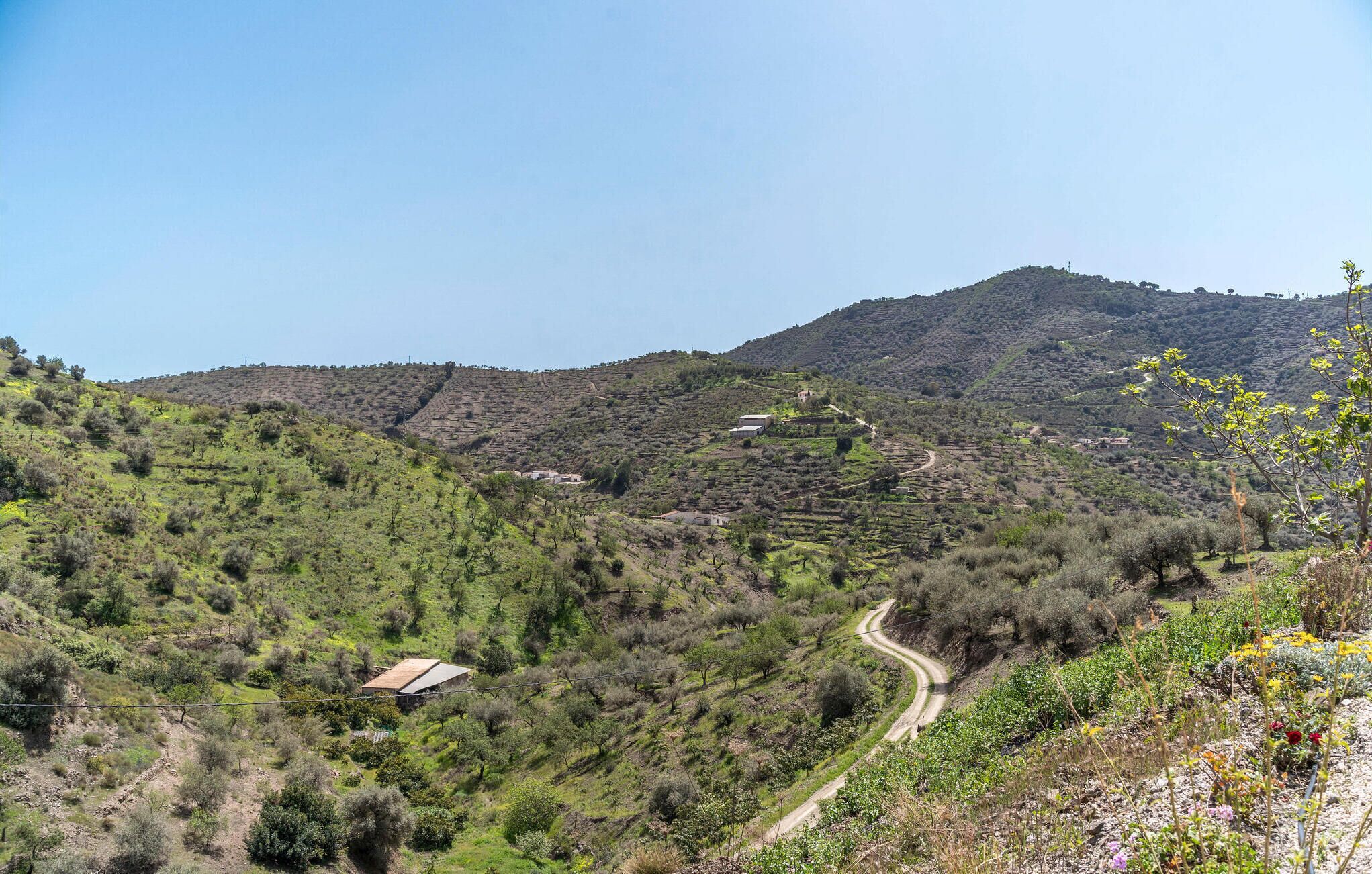 Un paysage rural avec une route sinueuse, un petit bâtiment et une colline en arrière-plan.