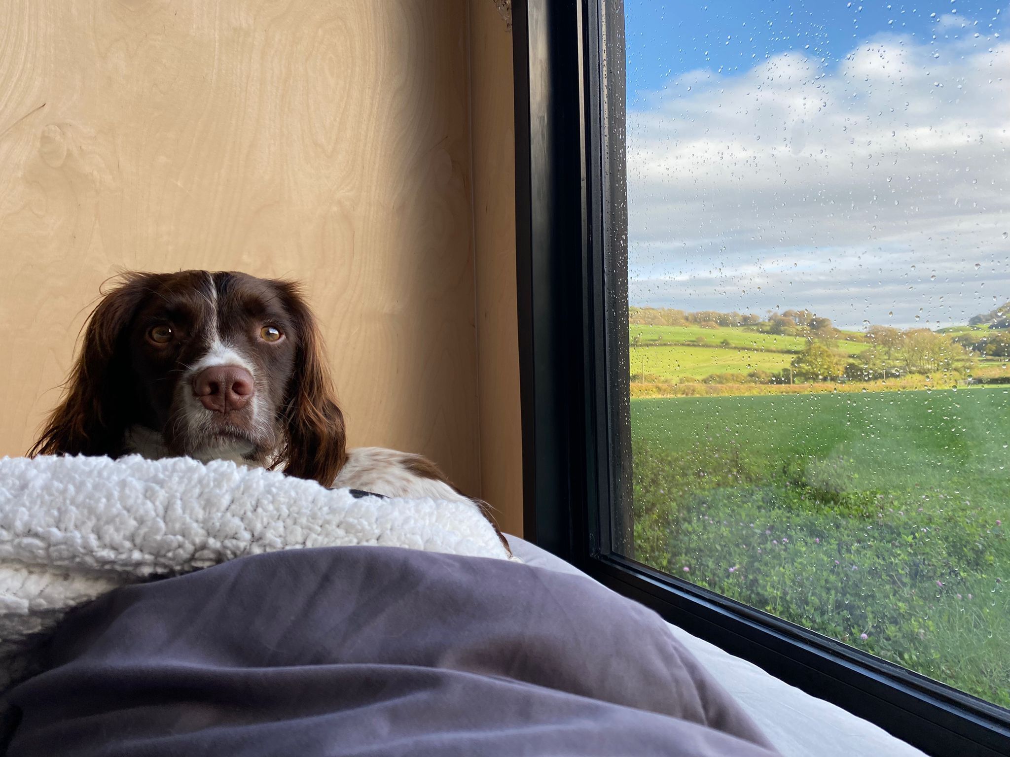 Off-Grid Eco Cabin Nestled in Nature ft Warm Wood Fire