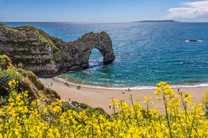 A coastal landscape with a natural rock arch formation, a sandy beach, and yellow flowering plants in the foreground. - Off-Grid Eco Cabin Nestled in Nature ft Warm Wood Fire (Plush)