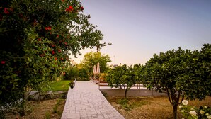 A paved pathway in a garden with trees and flowers. - Yria ntn Studios (Zakynthos)
