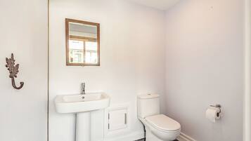 A bathroom with a white sink, toilet, and a mirror.