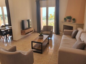 TV connectée, cheminée, livres