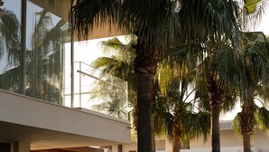 Un edificio moderno con un balcón de vidrio que da a palmeras.