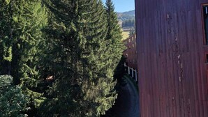 Un edificio de fachada roja con vistas a altos árboles de hoja perenne.