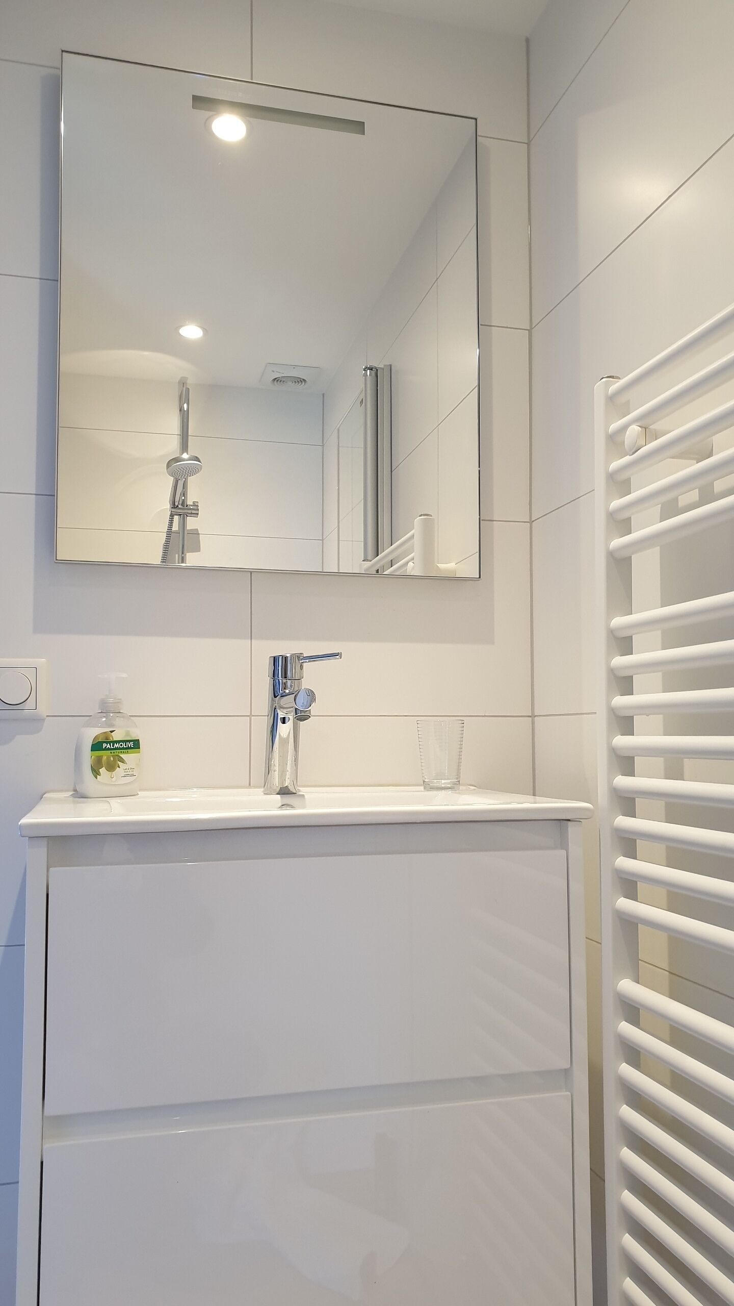 Un baño con lavamanos blanco, espejo, ducha de mano y toallero.